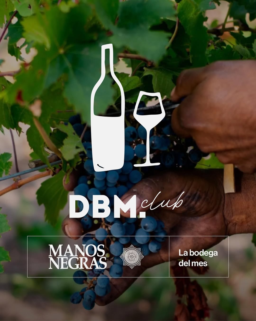 Bodega del Mes